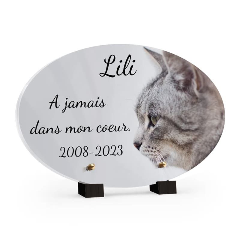 Plaque Décorative Avec Motif Chats En Relief – Référence 1163, Occasion