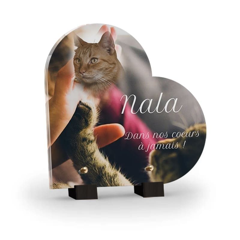 Plaque funéraire Coeur - Patte chat avec photo