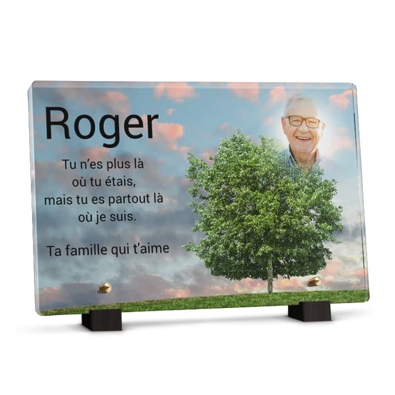 Plaque funéraire Rectangle - Arbre solitaire avec photo