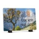 Plaque funéraire Rectangle - Arbre montagne avec photo