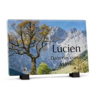 Plaque funéraire Rectangle - Arbre montagne