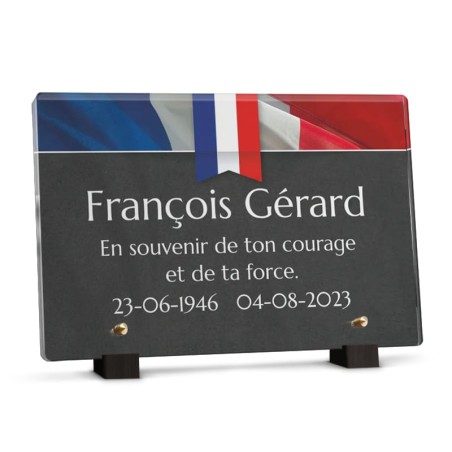 Décoration Murale Vintage Biopracess - Plaque Décorative En Métal Vintage 20x30 Cm Avec Drapeau Français | Décoration Murale Bar, Café, Garage