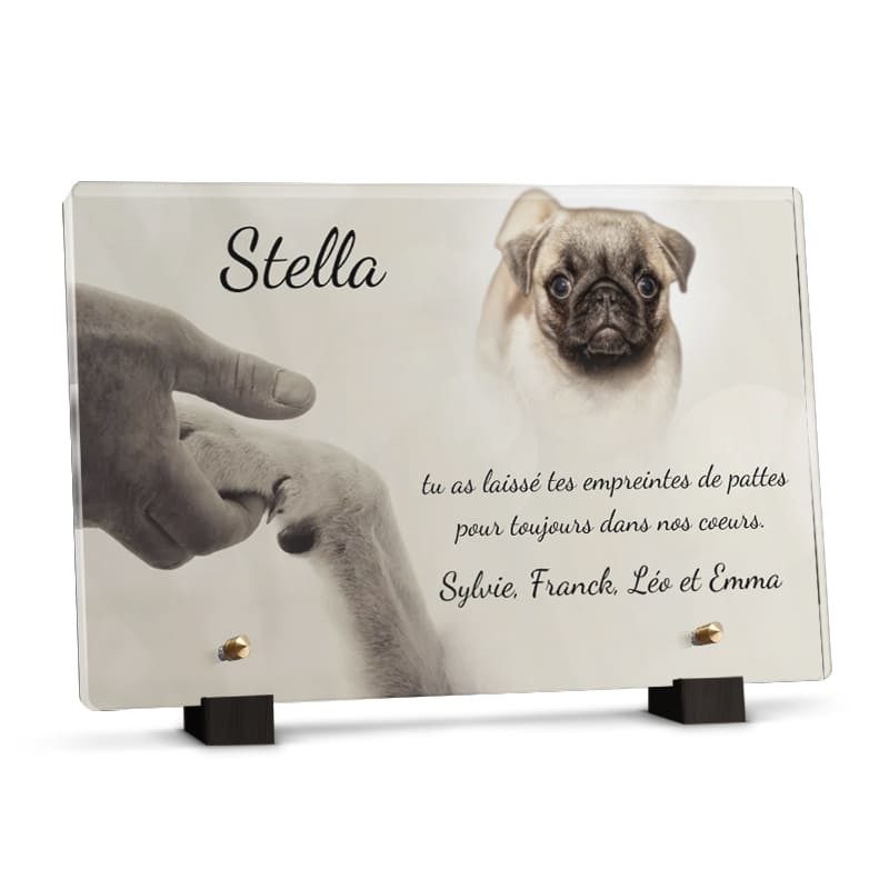 Plaque funéraire rectangle pour chien - Patte avec photo