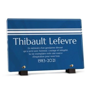 Plaque gendarme avec 3 bandes