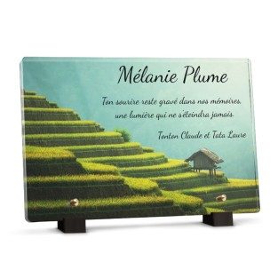 Plaque avec paysage de rizières d'Asie