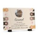 Plaque funéraire pattes de chats avec photo